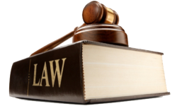 Law-PNG-Image